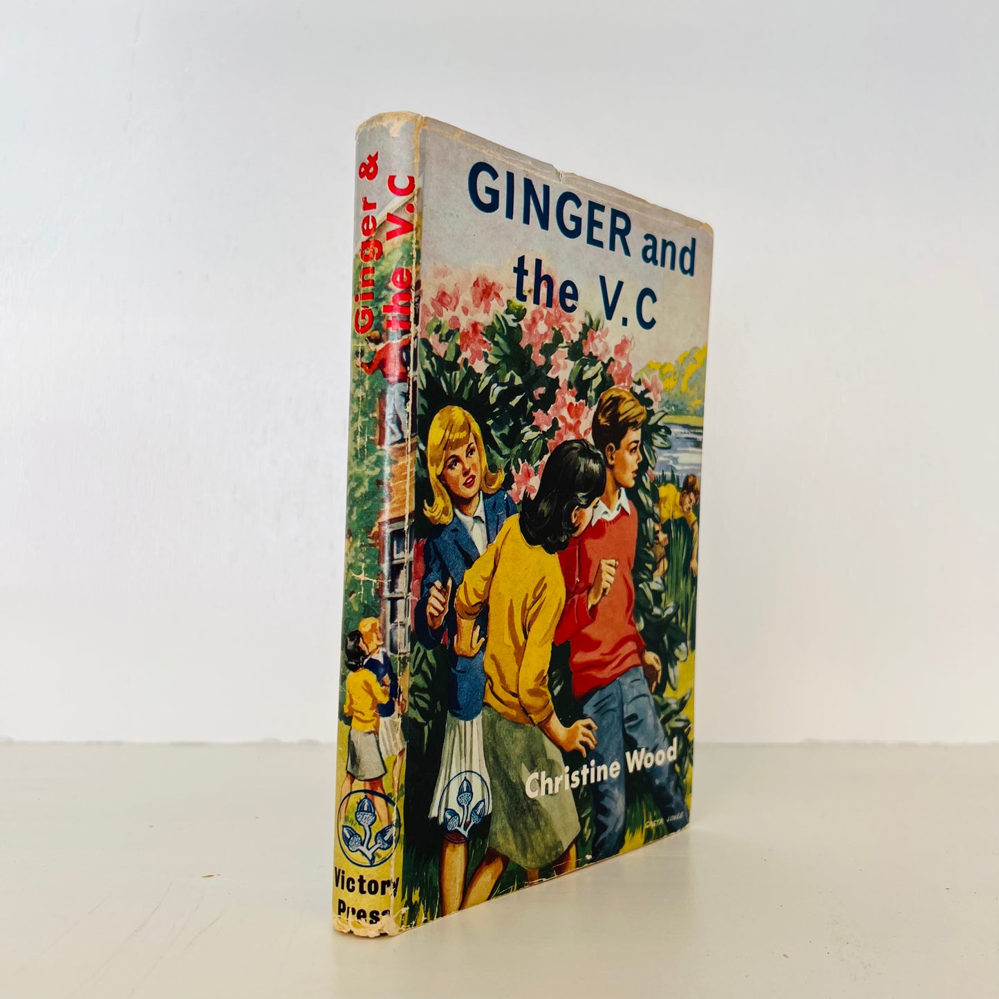 Ginger and the V.C by Christine Wood