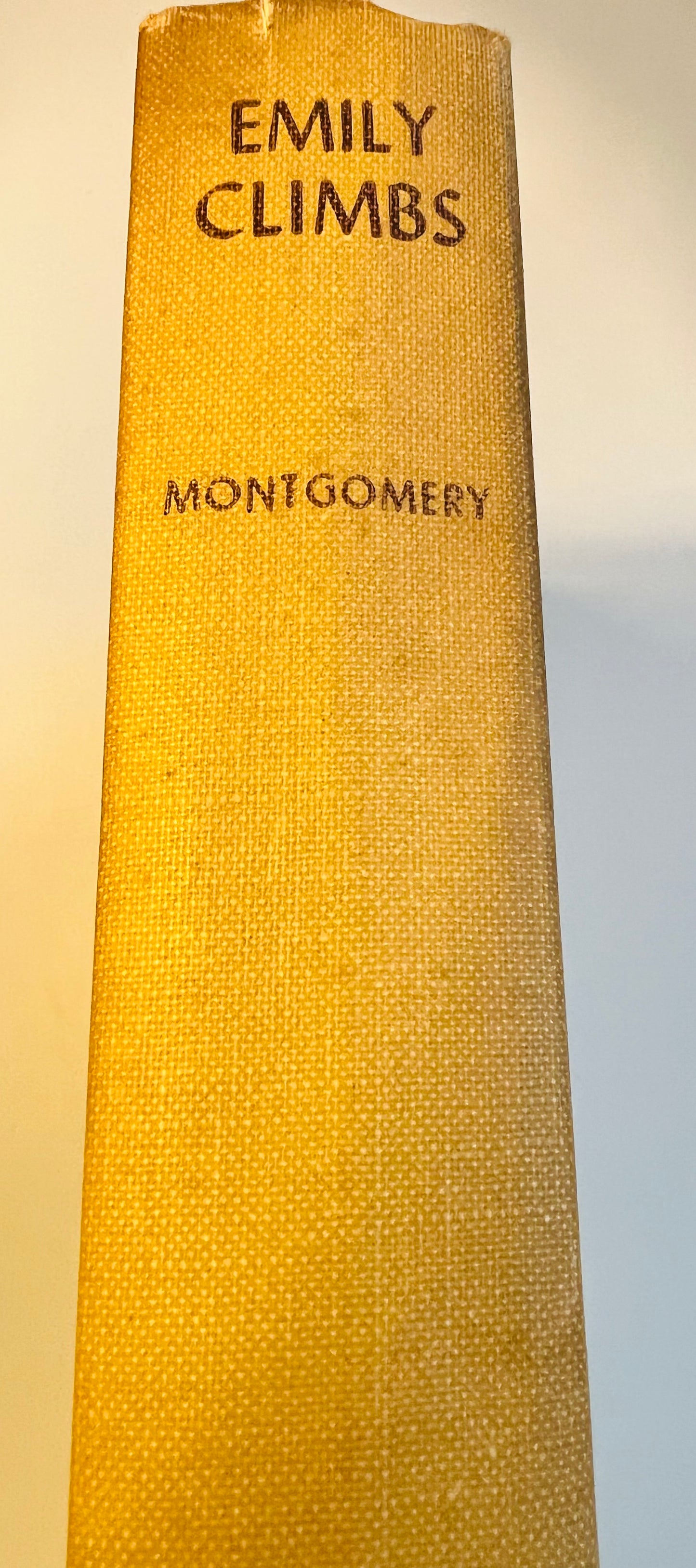 Emily Climbs by L M Montgomery