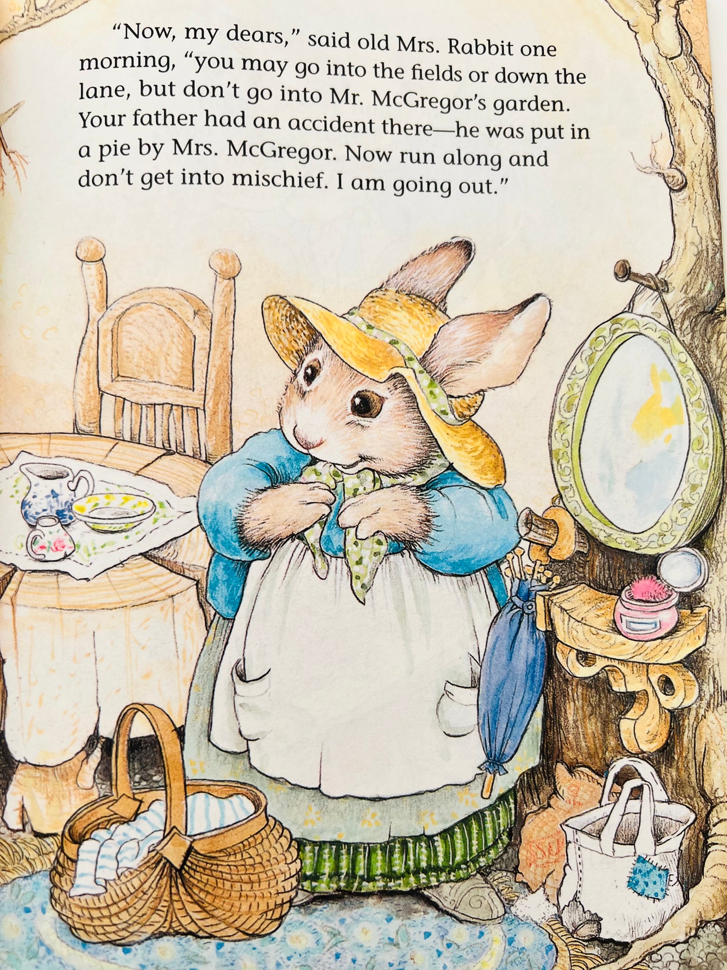 The Tale of Peter Rabbit