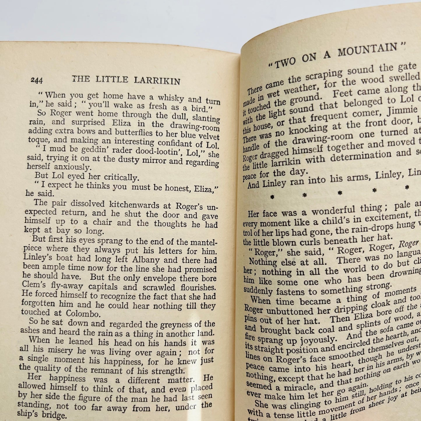 The Little Larrikin by Ethel Turner