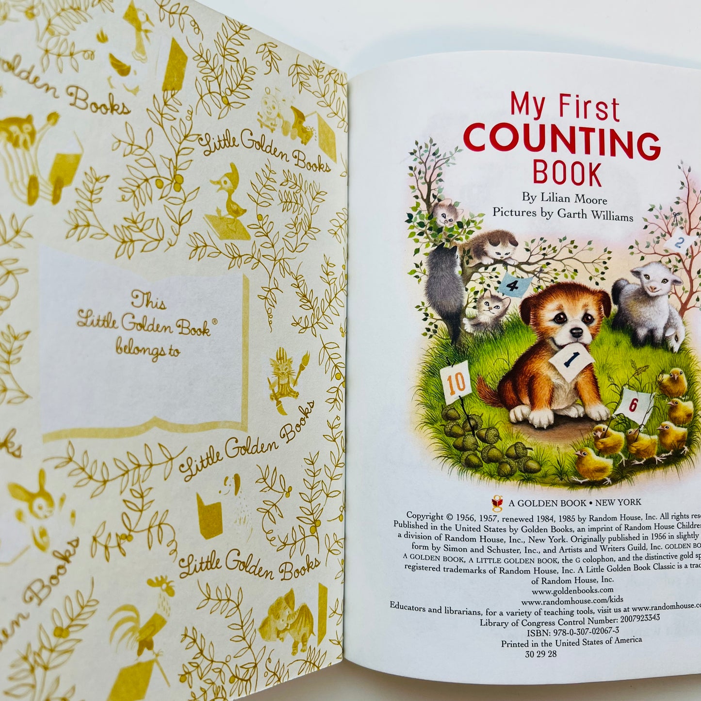 My First Counting Book by Lilian Moore