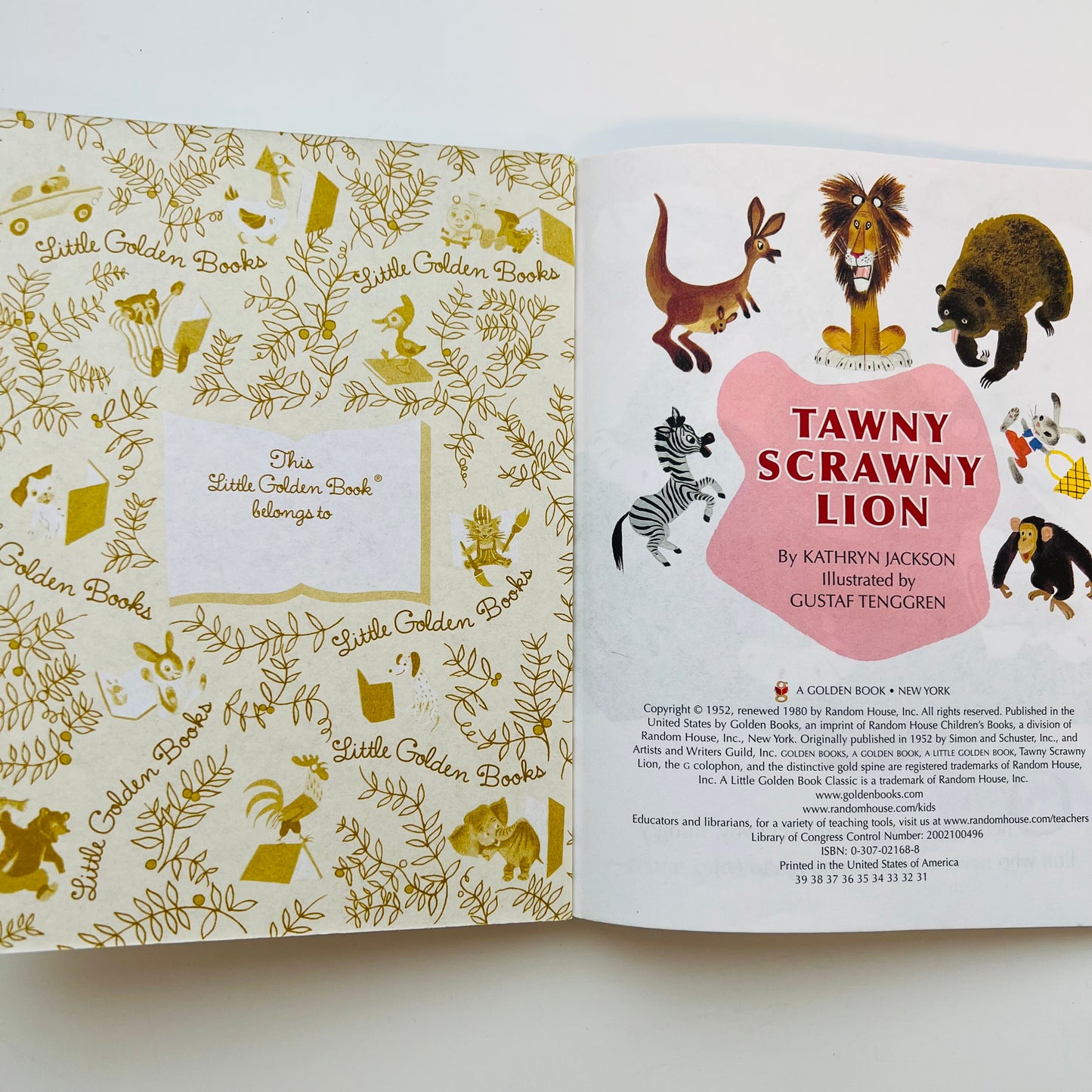 Tawny Scrawny Lion by Kathryn Jackson