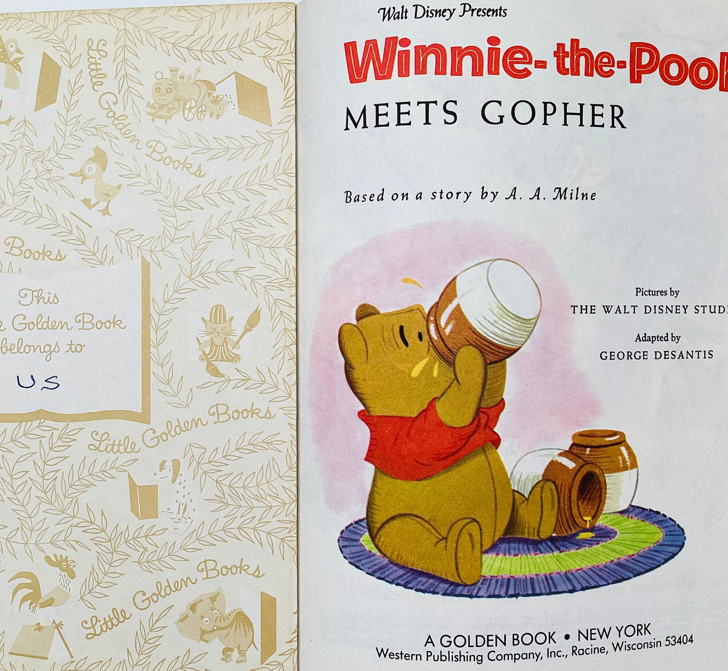 Winnie the Pooh Meets Gopher