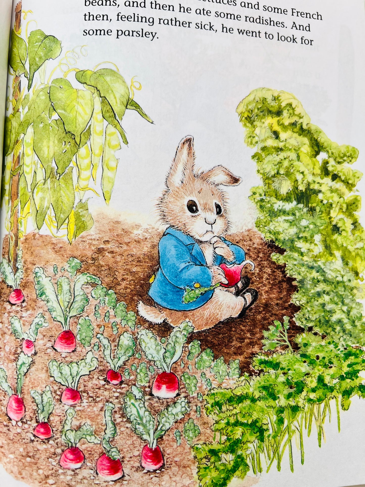 The Tale of Peter Rabbit