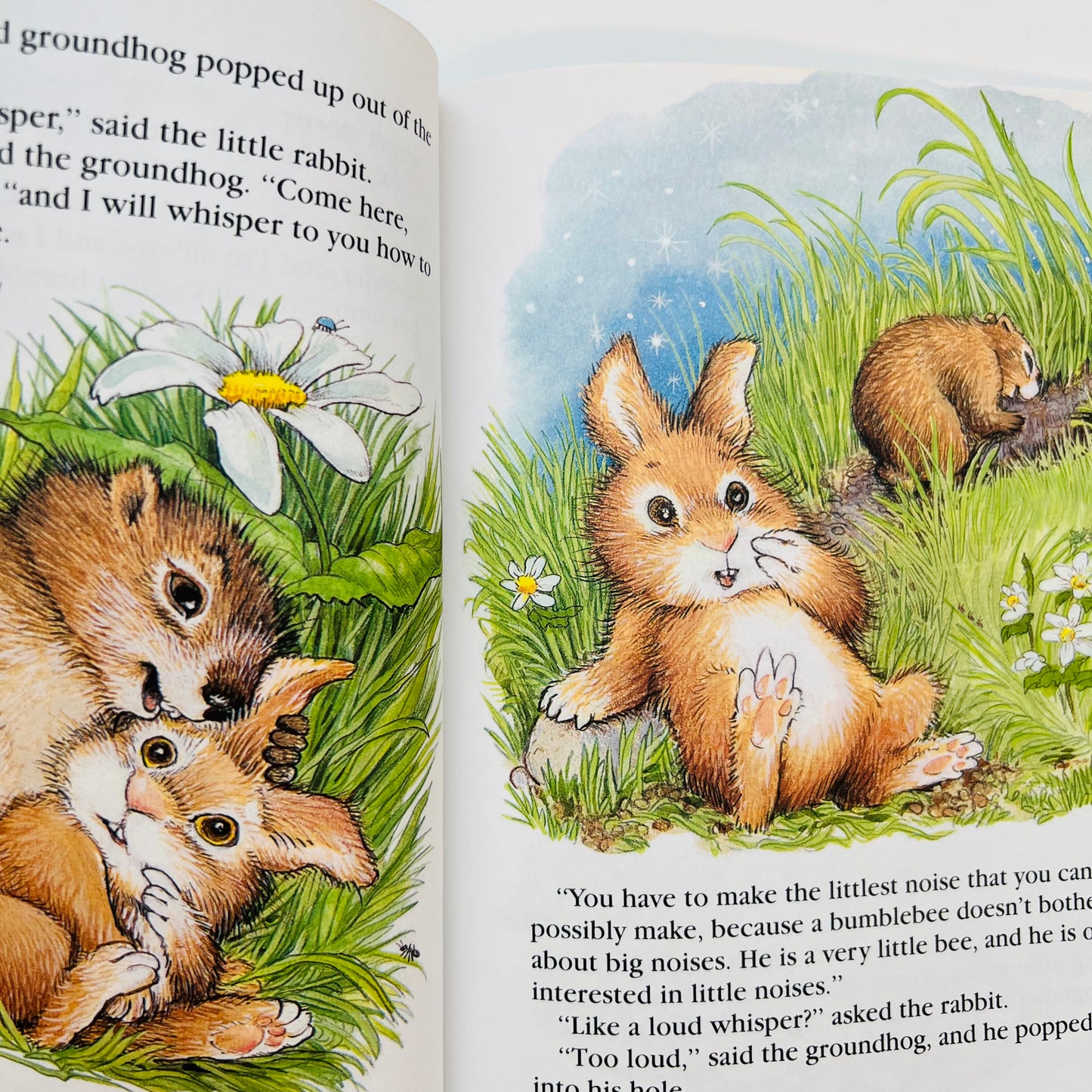 The Whispering Rabbit by Margaret Wise Brown