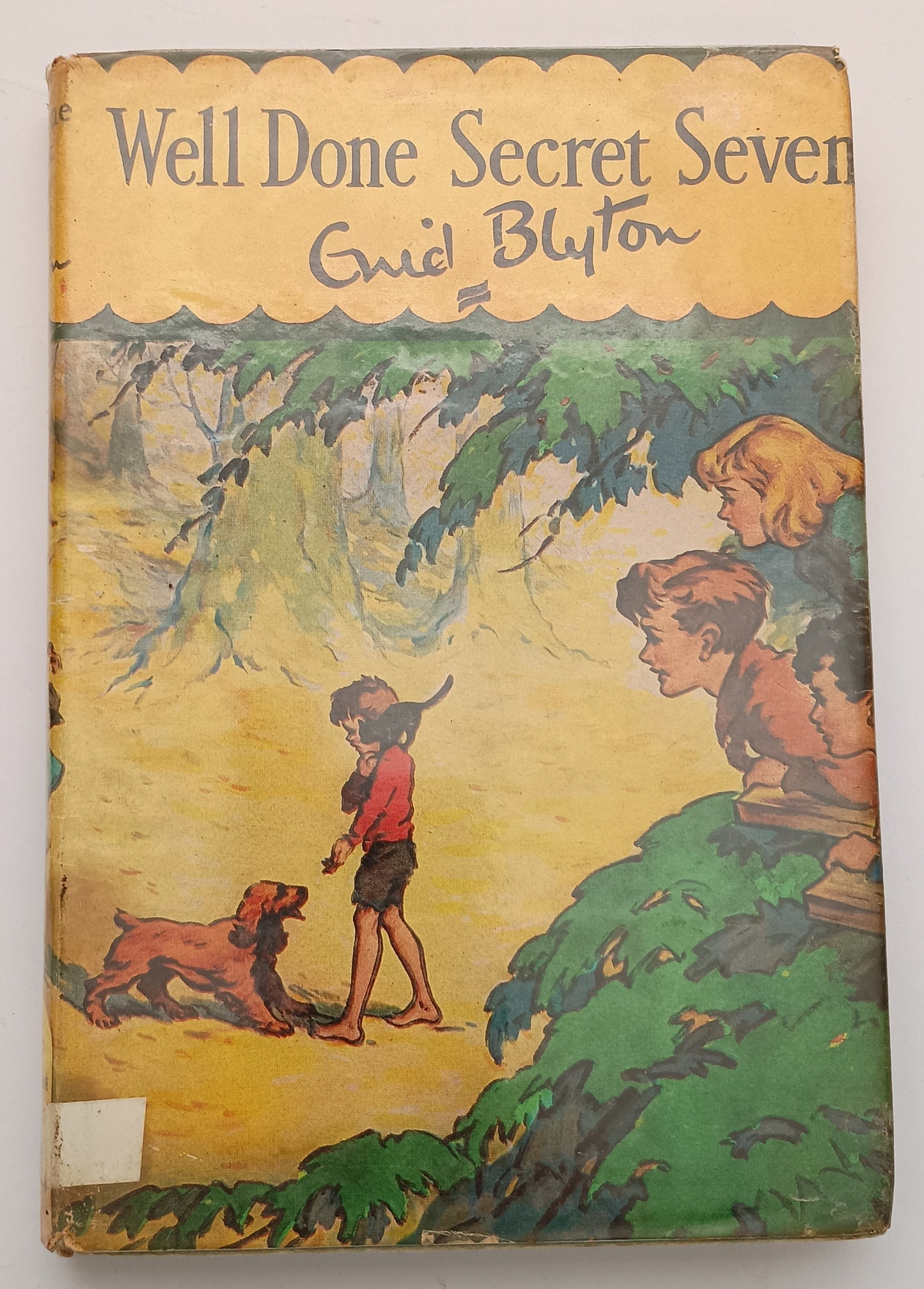 Well Done Secret Seven by Enid Blyton