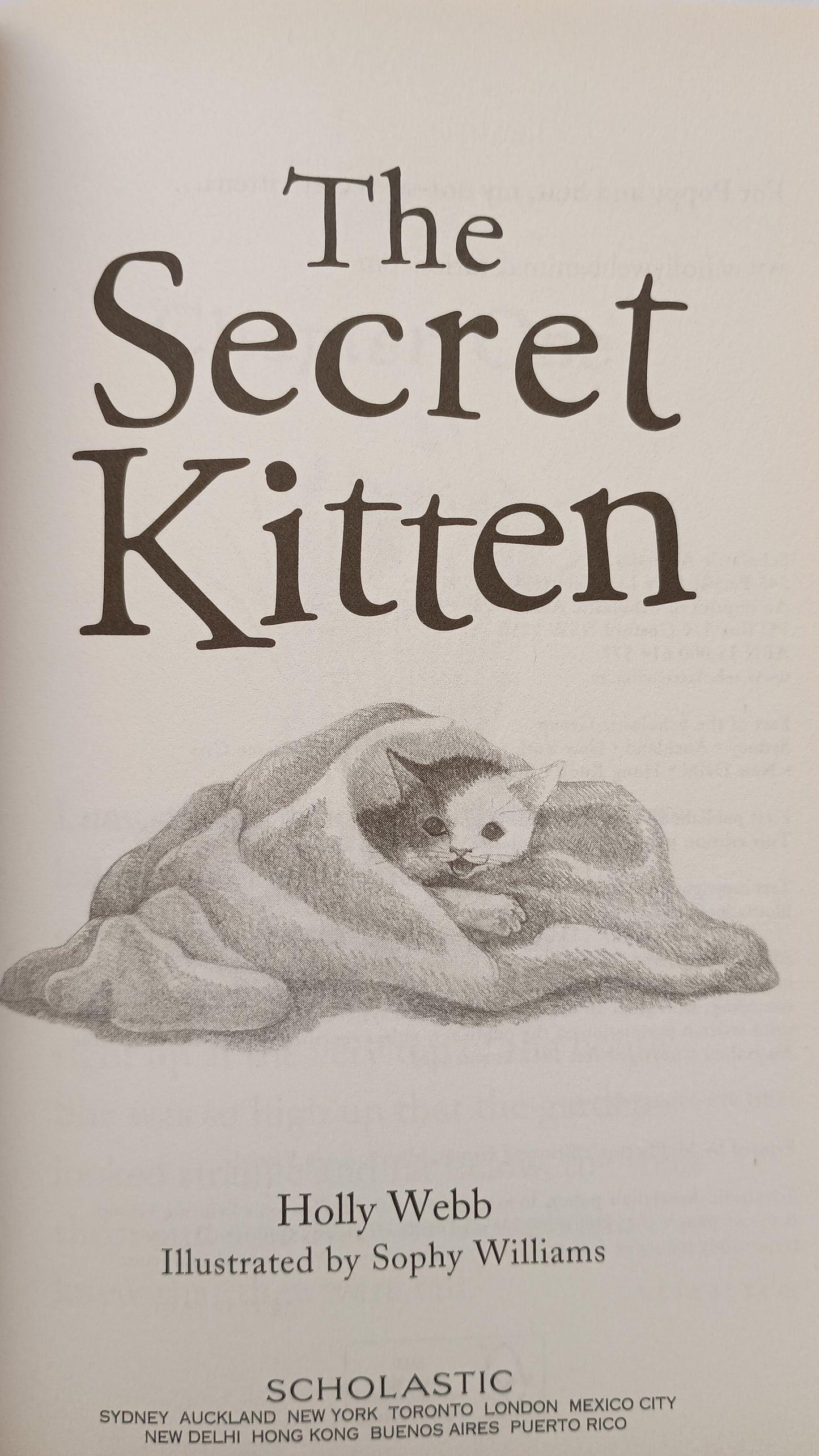 The Secret Kitten by Holly Webb