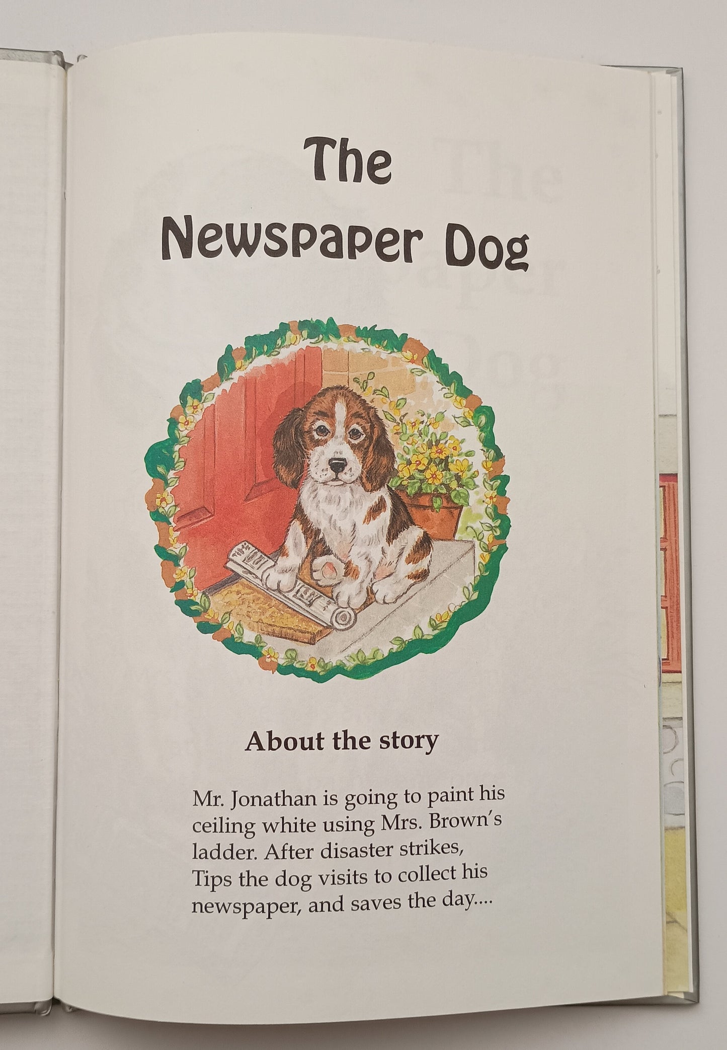 The Newspaper Dog by Enid Blyton