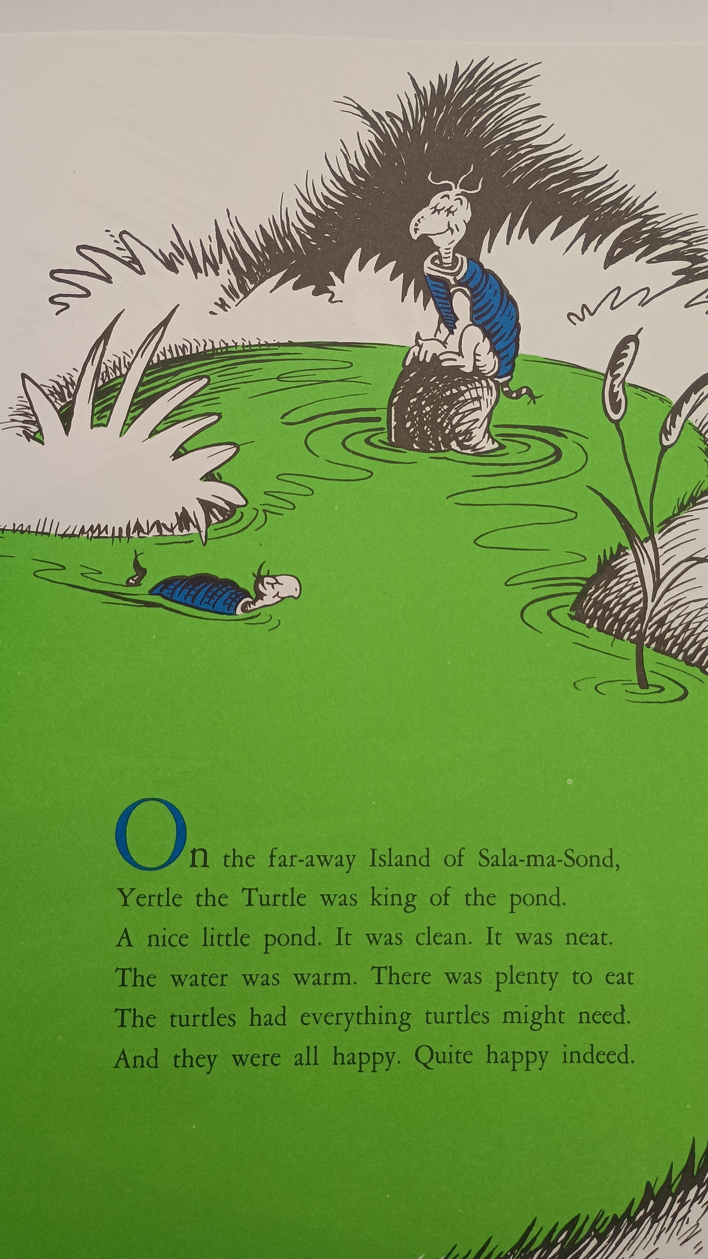 Yertle the Turtle and Other Stories by Dr Seuss