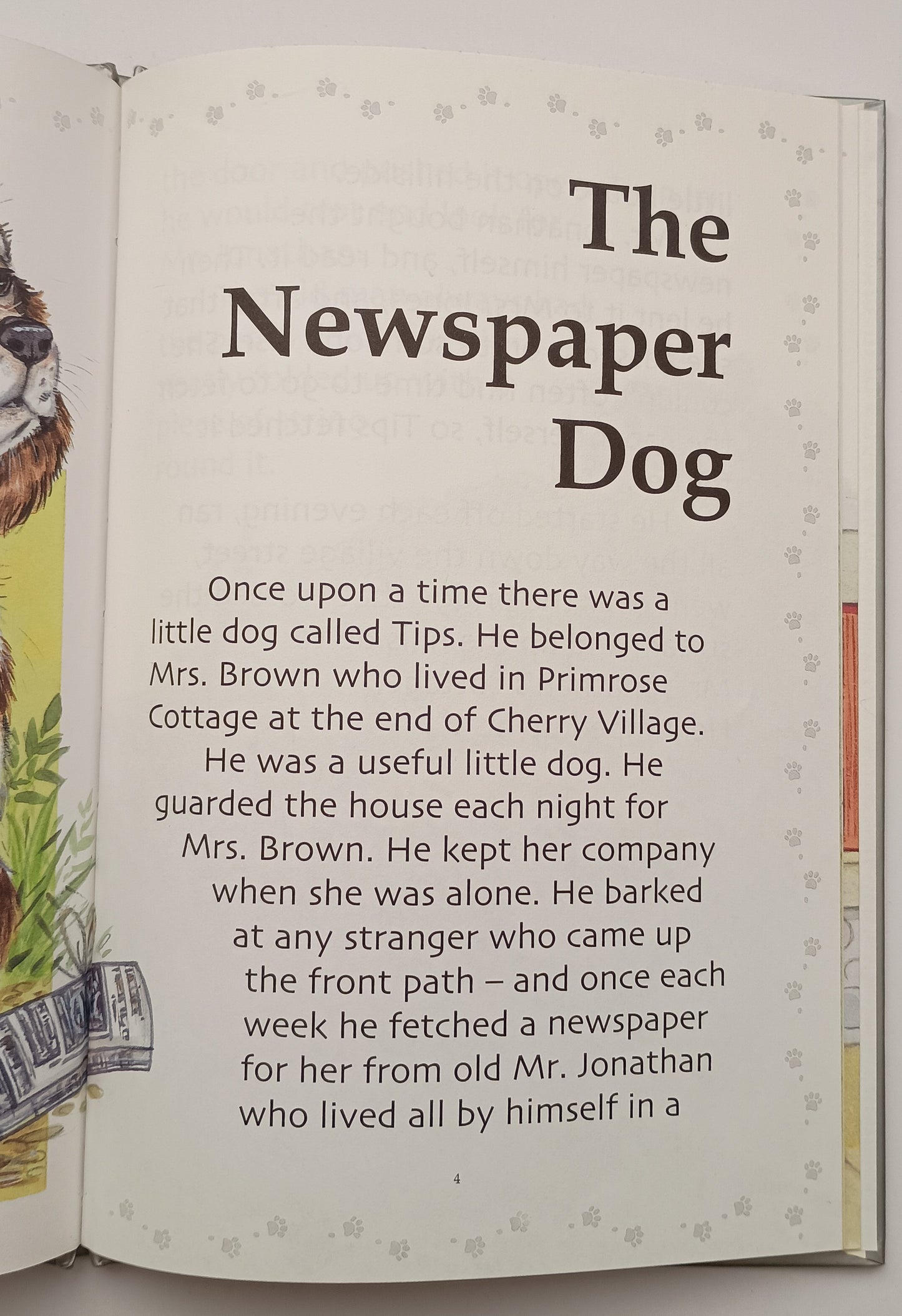 The Newspaper Dog by Enid Blyton