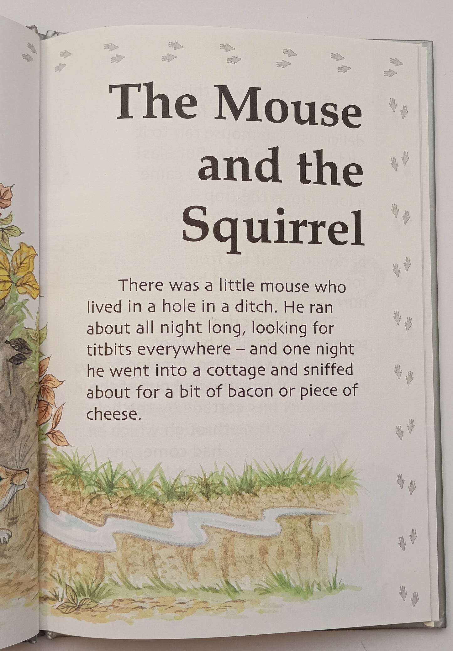 The Mouse and the Squirrel by Enid Blyton