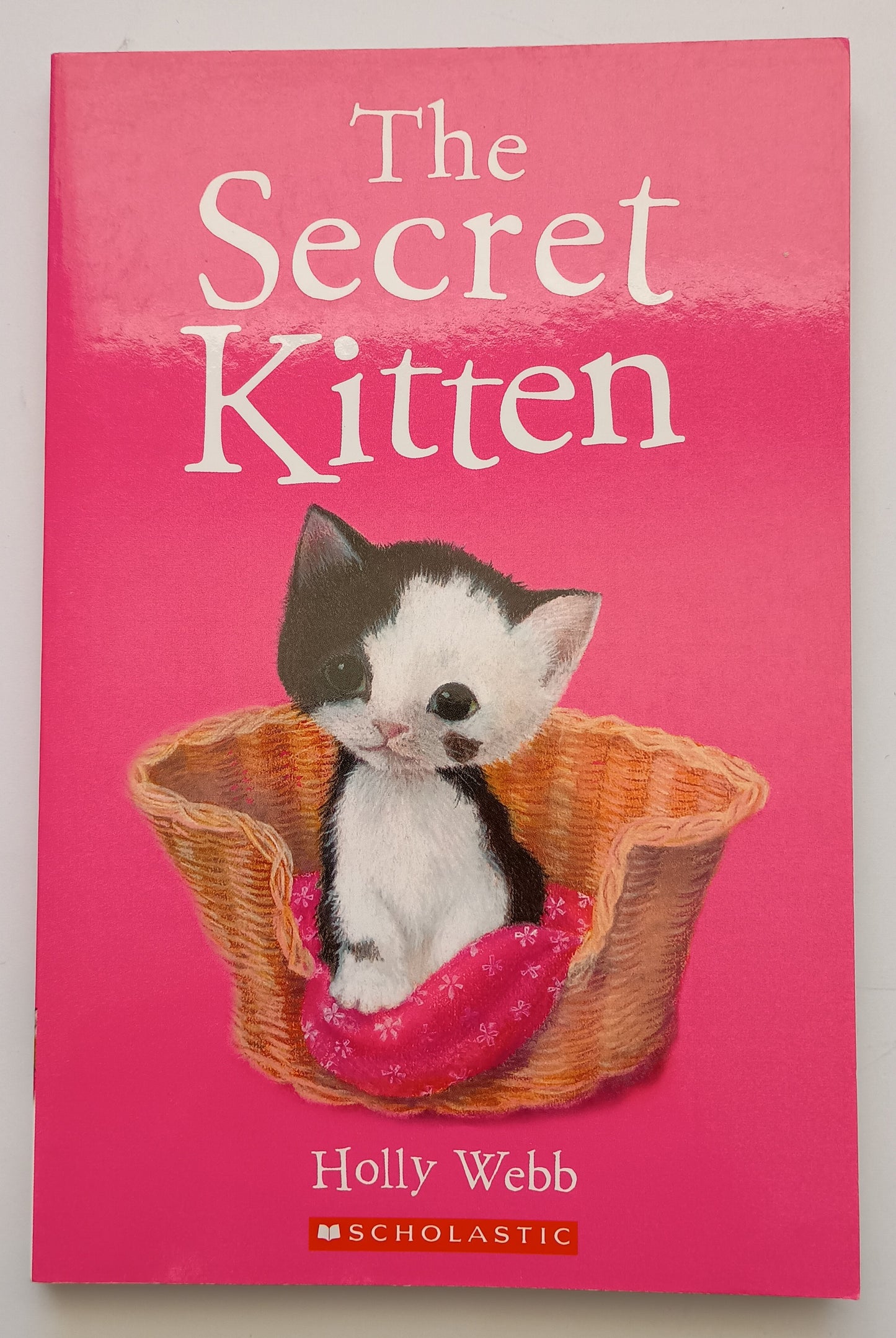 The Secret Kitten by Holly Webb